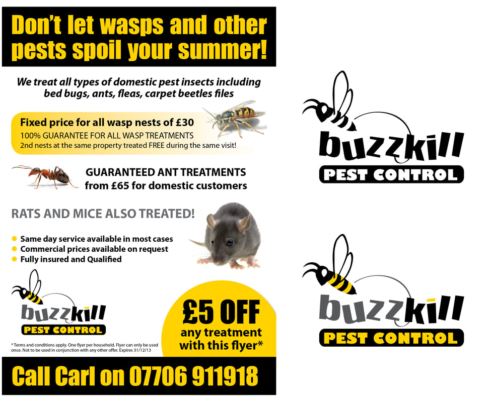 BuzzKIll Pest Control logo and flyer design